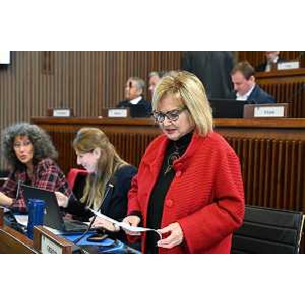 Laura Fasiolo (Pd) - Laura Fasiolo (Pd)