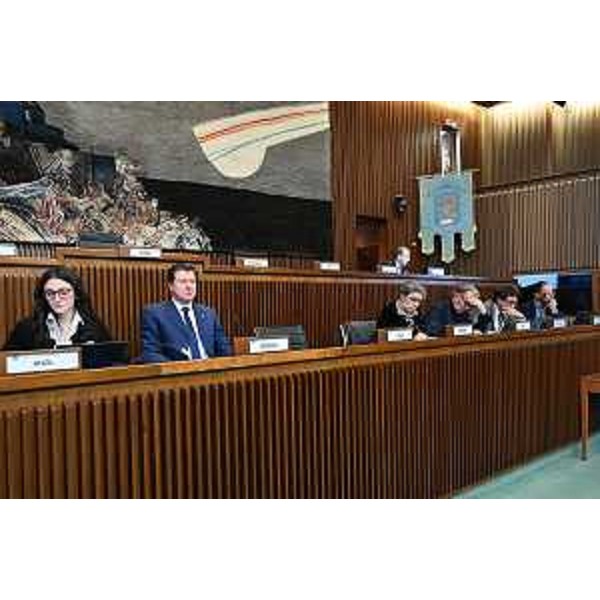 La IV Commissione presieduta da Alberto Budai (Lega) - La IV Commissione presieduta da Alberto Budai (Lega)