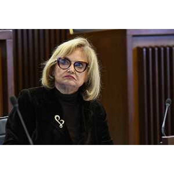 Laura Fasiolo (Pd) - Laura Fasiolo (Pd)