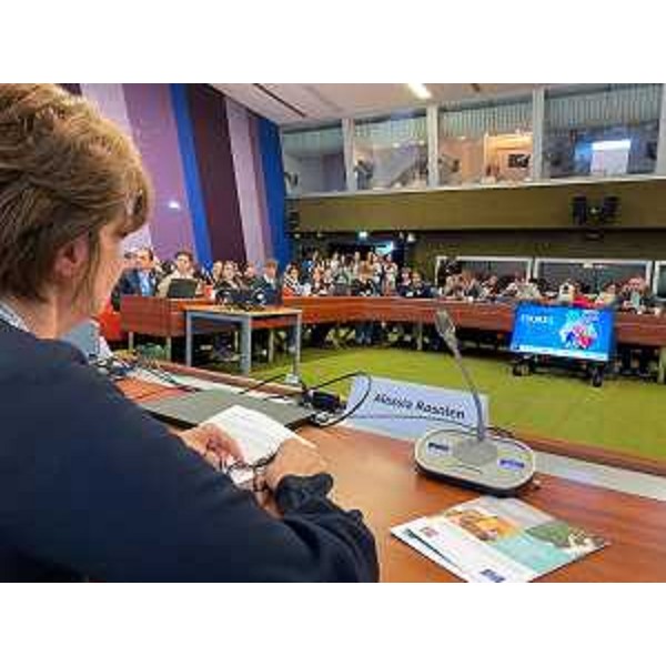 L'assessore regionale Alessia Rosolen a Strasburgo - L'assessore regionale Alessia Rosolen a Strasburgo