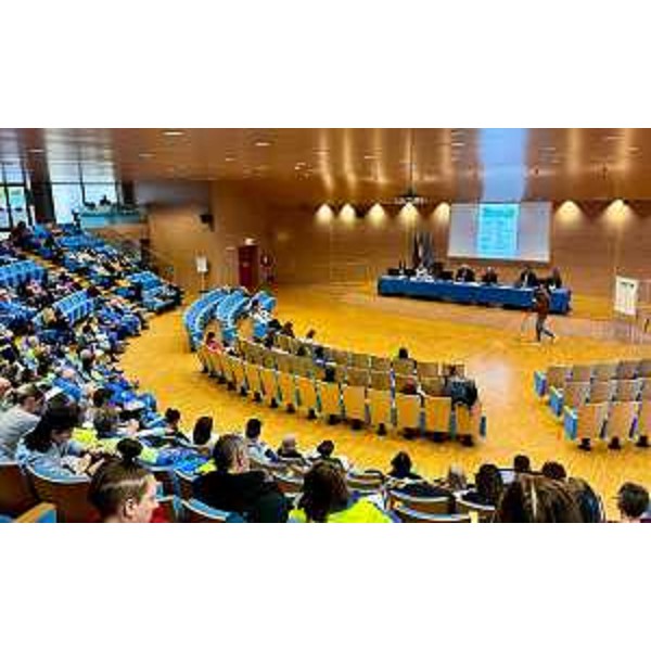Il convengo sulle Life skills organizzato dal Garante regionale dei diritti della persona nell'auditorium Comelli, a Udine - Il convengo sulle Life skills organizzato dal Garante regionale dei diritti della persona nell'auditorium Comelli, a Udine