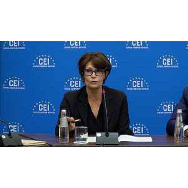 L'assessore regionale Alessia Rosolen interviene alla presentazione del corso in programma a Trieste dal 25 al 28 novembre a cura del Segretariato Esecutivo dell'Iniziativa Centro Europea (InCE) - L'assessore regionale Alessia Rosolen interviene alla presentazione del corso in programma a Trieste dal 25 al 28 novembre a cura del Segretariato Esecutivo dell'Iniziativa Centro Europea (InCE)