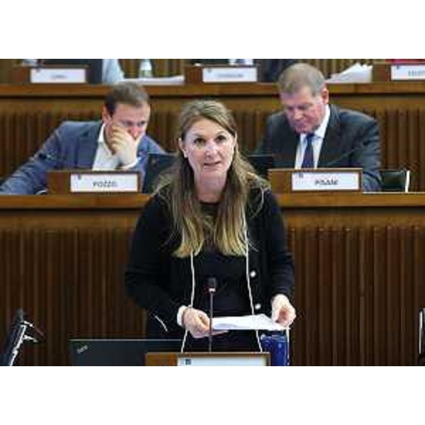 Rosaria Capozzi (M5S) - Rosaria Capozzi (M5S)