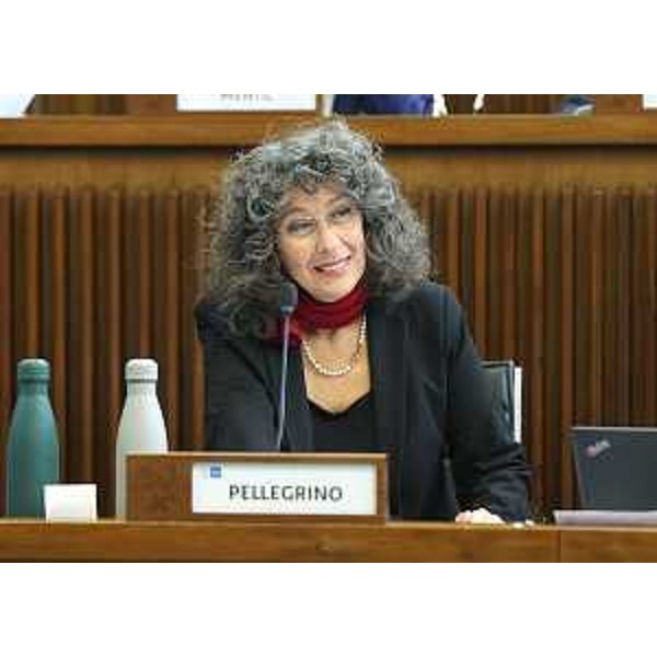 Serena Pellegrino (Avs) - Serena Pellegrino (Avs)