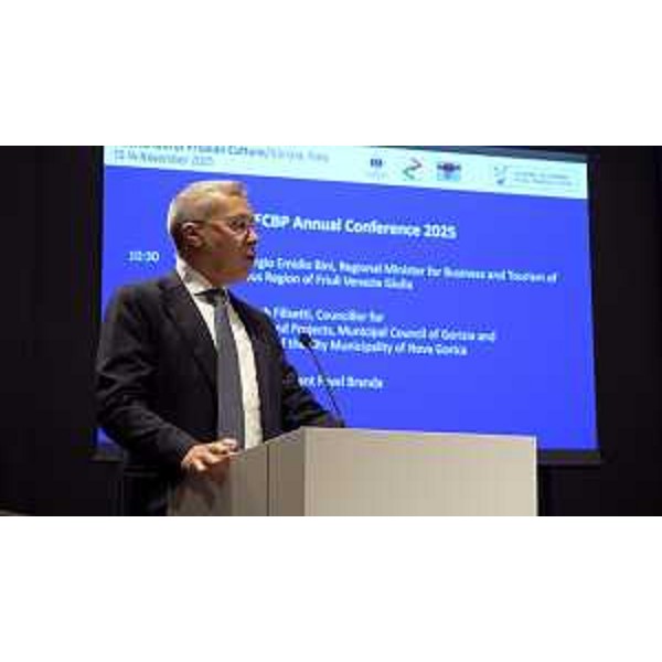 L'intervento di Bini a Gorizia - L'intervento di Bini a Gorizia 