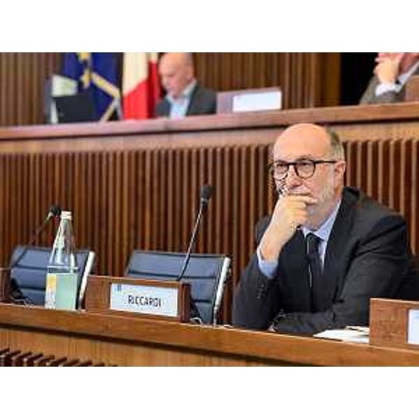 L'assessore Riccardi - L'assessore Riccardi