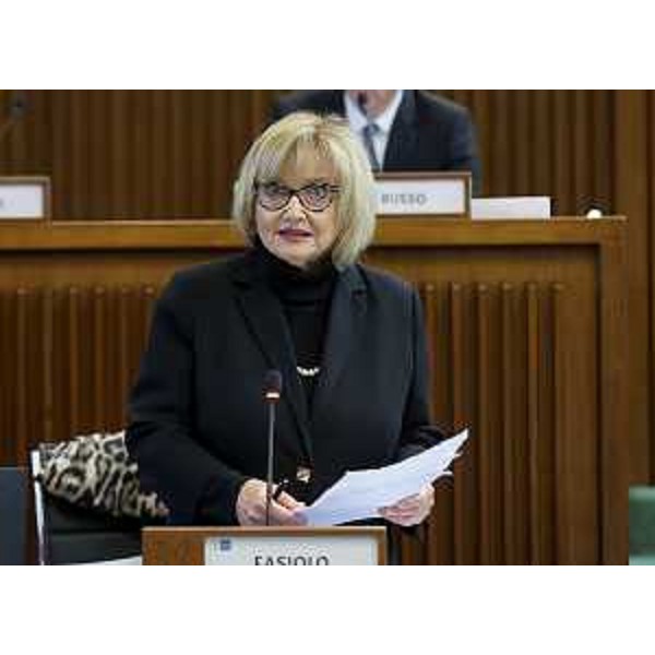 Laura Fasiolo (Pd) - Laura Fasiolo (Pd)