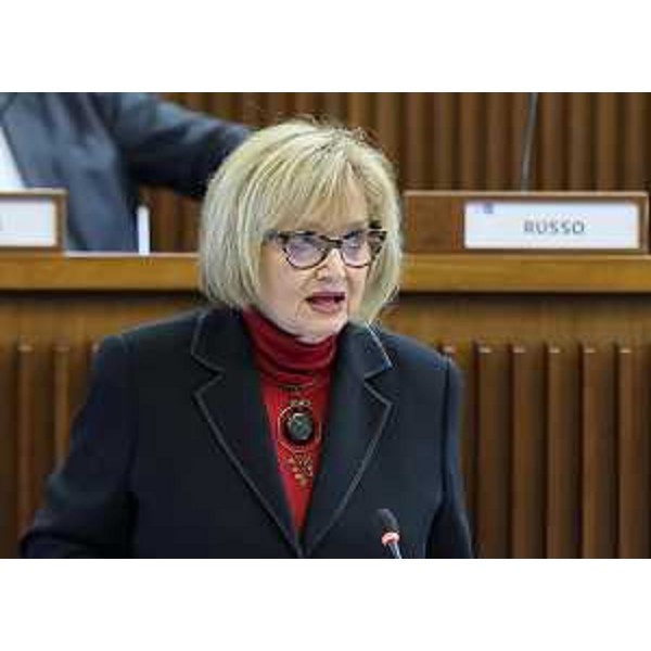 Laura Fasiolo (Pd) - Laura Fasiolo (Pd)