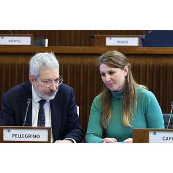 Furio Honsell (Open) e Rosaria Capozzi (M5S) - Furio Honsell (Open) e Rosaria Capozzi (M5S)