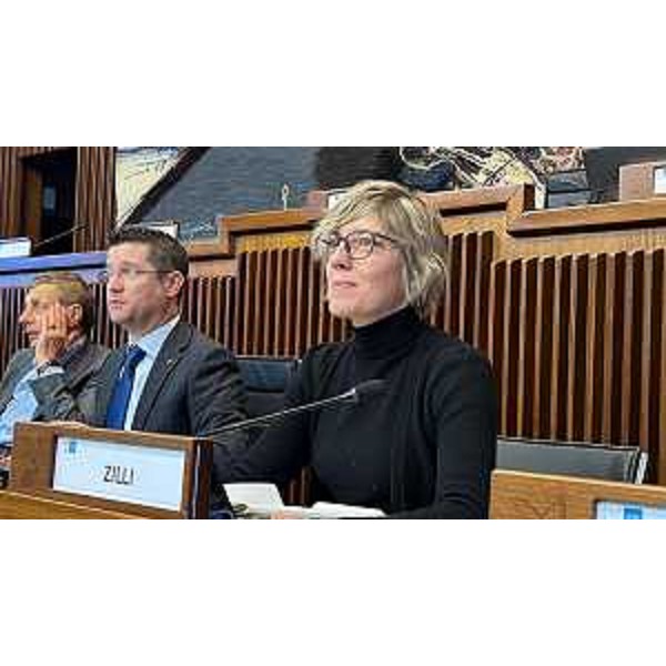 L'assessore Zilli durante i lavori della I Commissione integrata - L'assessore Zilli durante i lavori della I Commissione integrata