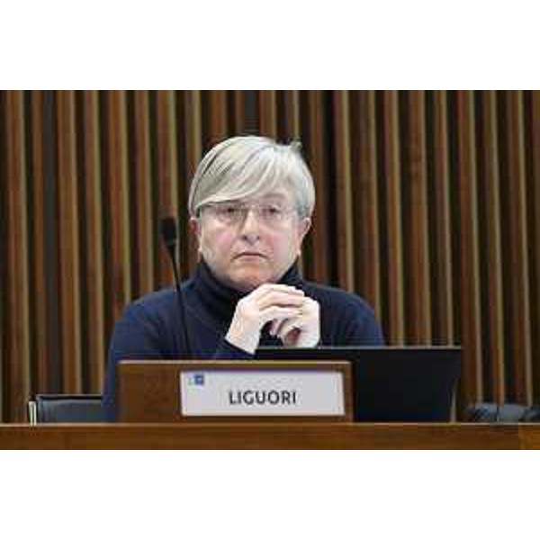 Simona Liguori (Patto per l'Autonomia-Civica Fvg) - Simona Liguori (Patto per l'Autonomia-Civica Fvg)