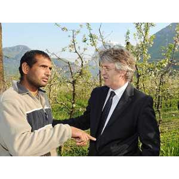 Renzo Tondo (Presidente Friuli Venezia Giulia) con un lavoratore dell'Azienda agricola Favot a Cimolais. (Cimolais 07/05/09)