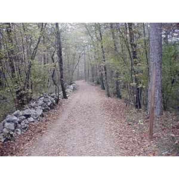 Il sentiero naturalistico Josef Ressel, nel Bosco Igouza sul Carso triestino, attrezzato per non vedenti, realizzato dal Centro didattico e naturalistico di Basovizza - Località Basovizza 224, 34149 Basovizza (TS).