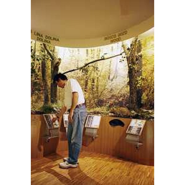 Allestimento nel Centro didattico e naturalistico di Basovizza - Località Basovizza 224, 34149 Basovizza (TS).