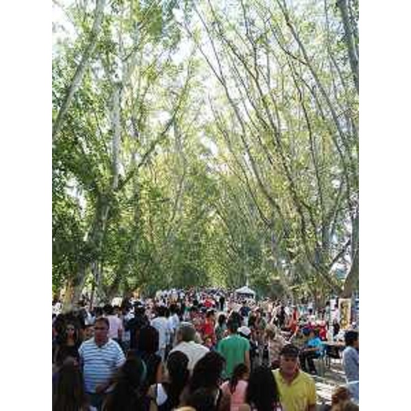La 31a edizione della Festa nazionale dell'Uva, organizzata dal Centro friulano di Colonia Caroya (Provincia di Cordoba, Argentina) in Avenida San Martin. (Colonia Caroya 14/03/10) 