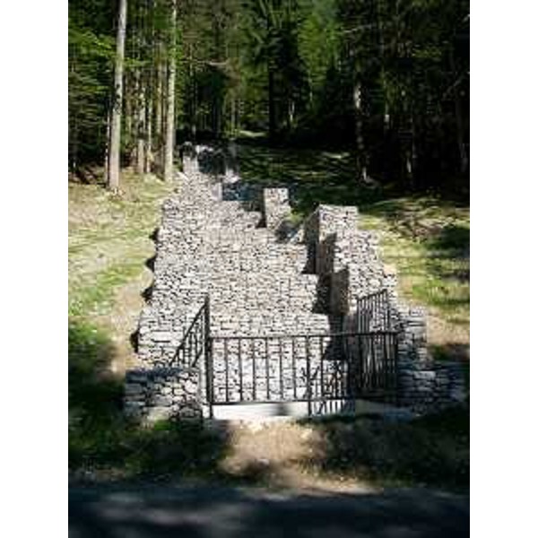 Opera per l'eliminazione della frana del rio Geu, in corrispondenza della strada regionale 355 "della Val Degano" (Km. 31+380) in comune di Forni Avoltri. (01/07/10)