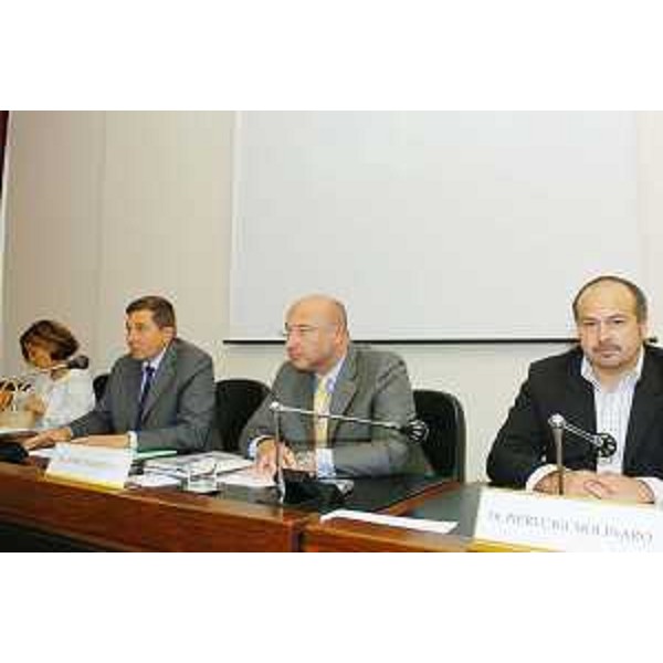 Enrico Bertossi (Assessore Regionale alle attività produttive) per progetto Albergo Diffuso (Udine, 25/07/05)