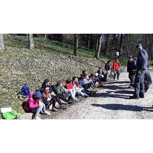 Ispettori del Cfr danno lezione nel bosco agli alunni delle scuole primarie di Udine e Cividale